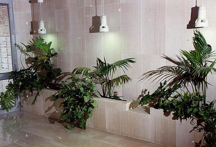 כניסה מזמינה לבניין